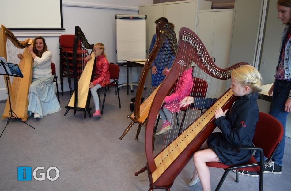 Zelden vertoond: dertig harpen op podium Diekhuus Middelharnis