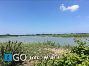 Water Natuurlijk Hollandse Delta: watersysteem rondom Ouddorp niet op orde