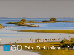 Expeditie Haringvliet: beleef natuur en cultuur Zuid-Hollandse Delta
