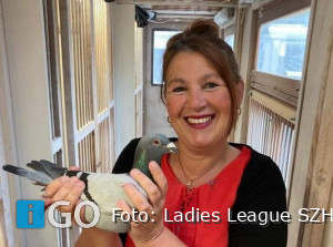 Ladies League Samenspel Zuid-Hollandse Eilanden