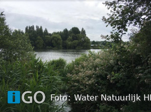 Watercrisis in de Hollandse Delta - regio Goeree-Overflakkee