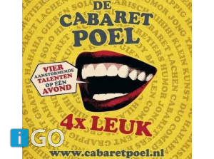 10e Cabaretpoel in Ons Dorpshuis in Nieuwe-Tonge