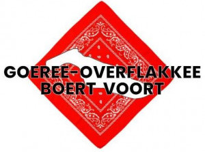 Ingezonden brief: GOEREE OVERFLAKKEE BOERT VOORT en Haagse Strijd
