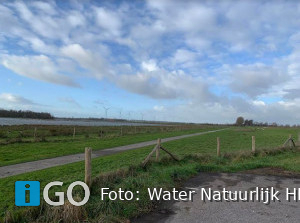 Water Natuurlijk Hollandse Delta: Leven met water