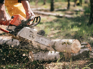 Handige tools voor houtbewerking