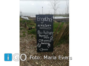 Lokale ondernemer In 't Zunnetje: natuurlijk geteelde groentepakketten bij Engelhof