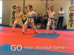 Budokai Senshi organiseert Senshi Cup met groot succes