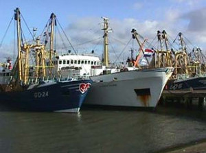  Europese visserijsector wil zich aansluiten bij de boerenprotesten
