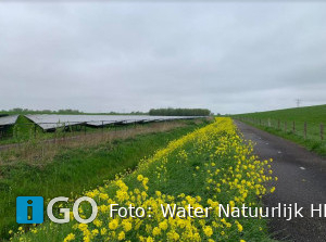 Water Natuurlijk Hollandse Delta: Gele linten: teken aan de wand