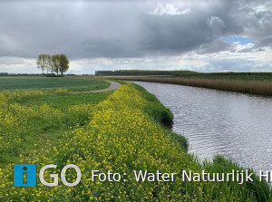 Water Natuurlijk Hollandse Delta: Gele linten: teken aan de wand