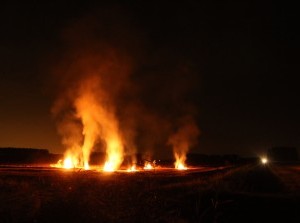 Land in brand Vroonweg Dirksland