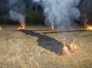 Land in brand Vroonweg Dirksland