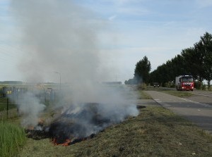 Bermbrandje langs Oudelandsedijk Stad aan 't Haringvliet