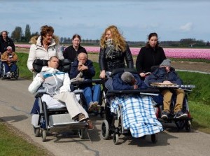 Succesvolle Tulpenwandeltocht met rolstoel- en scootmobieldeelnemers