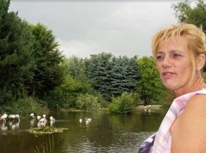 Wethouder geeft startsein Flamingo-project Faunapark Flakkee